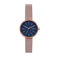 Skagen Women's Watch Skw2593 Skagen Women's Watch Skw2593