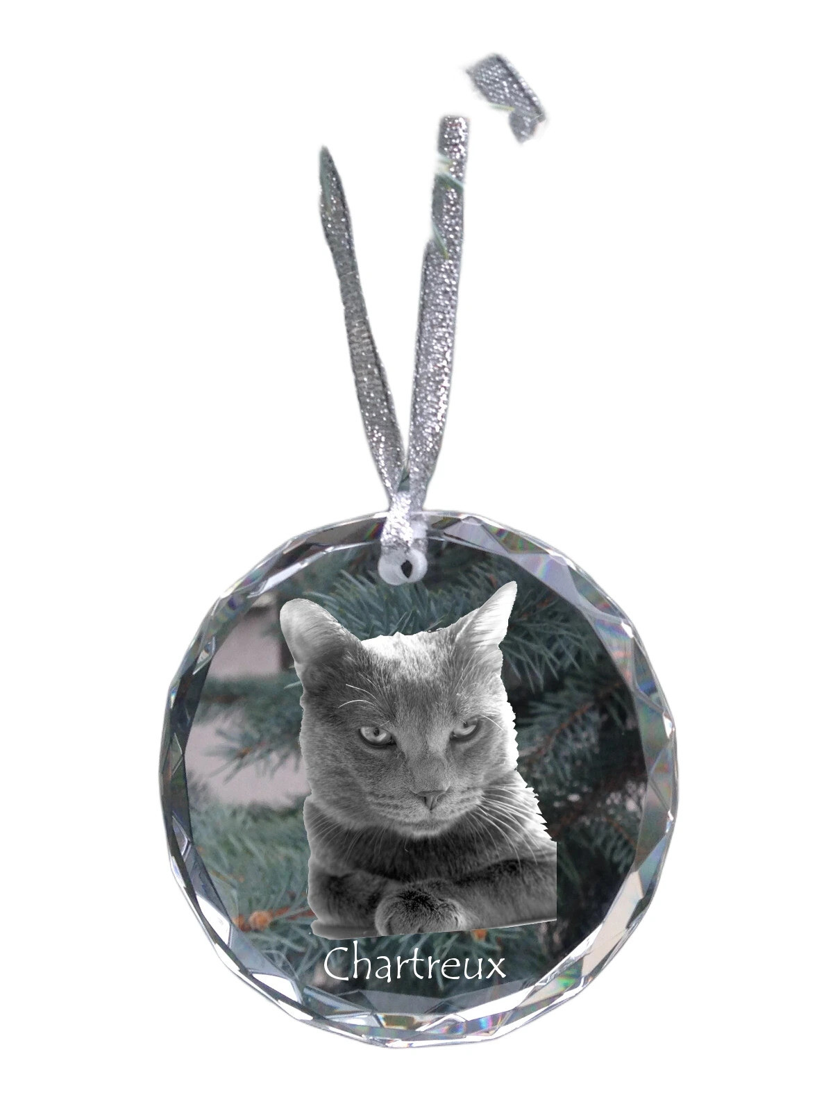 Chartreux - crystal bauble with a photo, photo of a cat in crystal, personalized