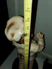 Picture 4 of 7