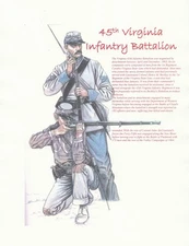 Civil War History of the 45th Virginia Infantry Battalion