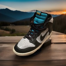 Nike SB Dunk High Washington for Sale | Authenticity Guaranteed | eBay