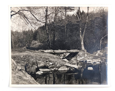 1950s Americana Outdoor Scene Creek Log Bridge Woods in Fall Vintage Photo
