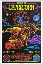 Capricorn Zodiac Sign Blacklight Poster 23.5" x 35.5" Laminated
