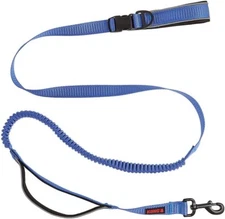 KONG CHEW RESISTANT HANDS-FREE LEASH W/ SHOCK ABSORBING BUNGEE - Blue - 6 LONG