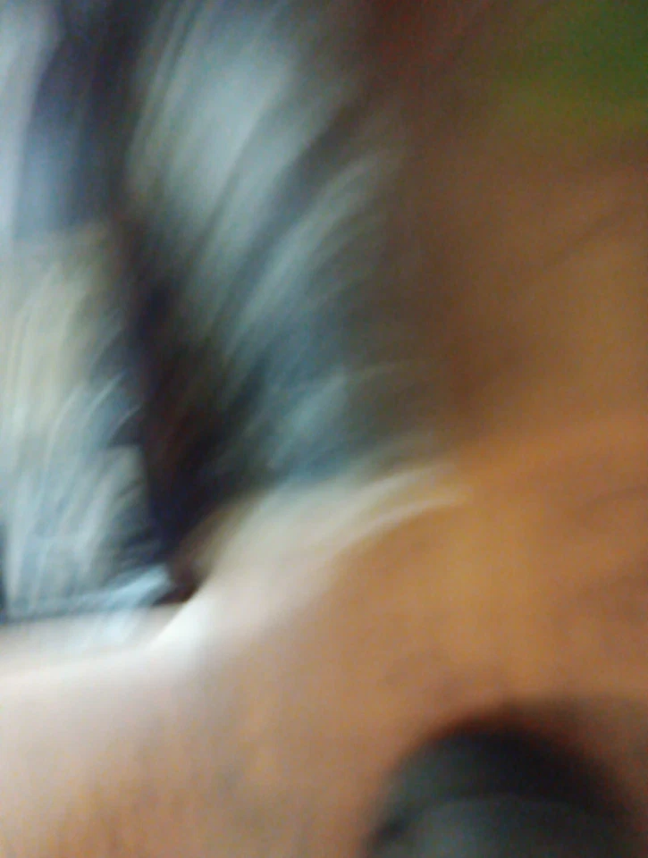 Creative Blaster Audigy SE Sound Card BRAND NEW SEALED Model SB0570 - Image 2 of 4