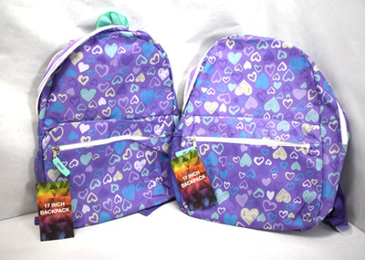 Summit Ridge Kids 17'' Backpack Pink/Purple with Doodle Hearts Lightweight 2 Pack