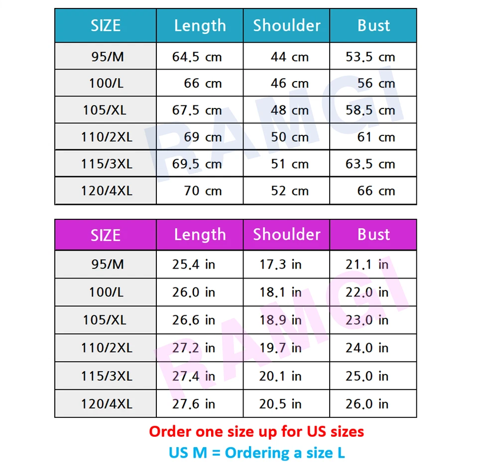 DESCENTE SWISS SKI Defender Snowstorm Lightweight Padded Vest BLACK ASIAN FIT - Image 4 of 4