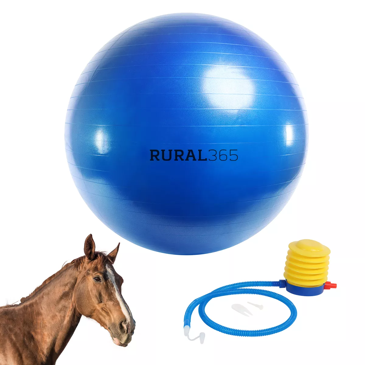 Horse ball toy deals