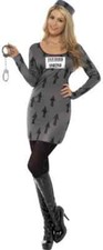 Ladies Grey Arrow Jailbird Costume