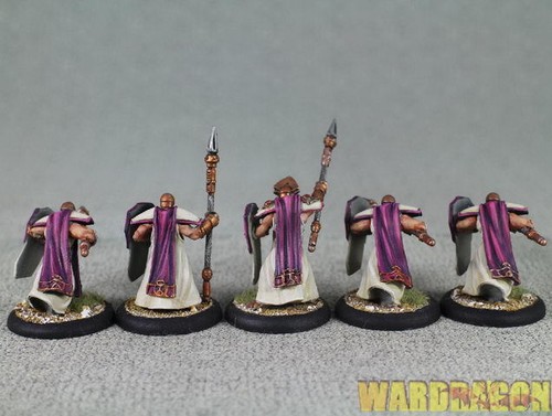 30mm Warmachine WDS painted The Protectorate of Menoth Temple Flameguard q32 - Picture 7 of 9