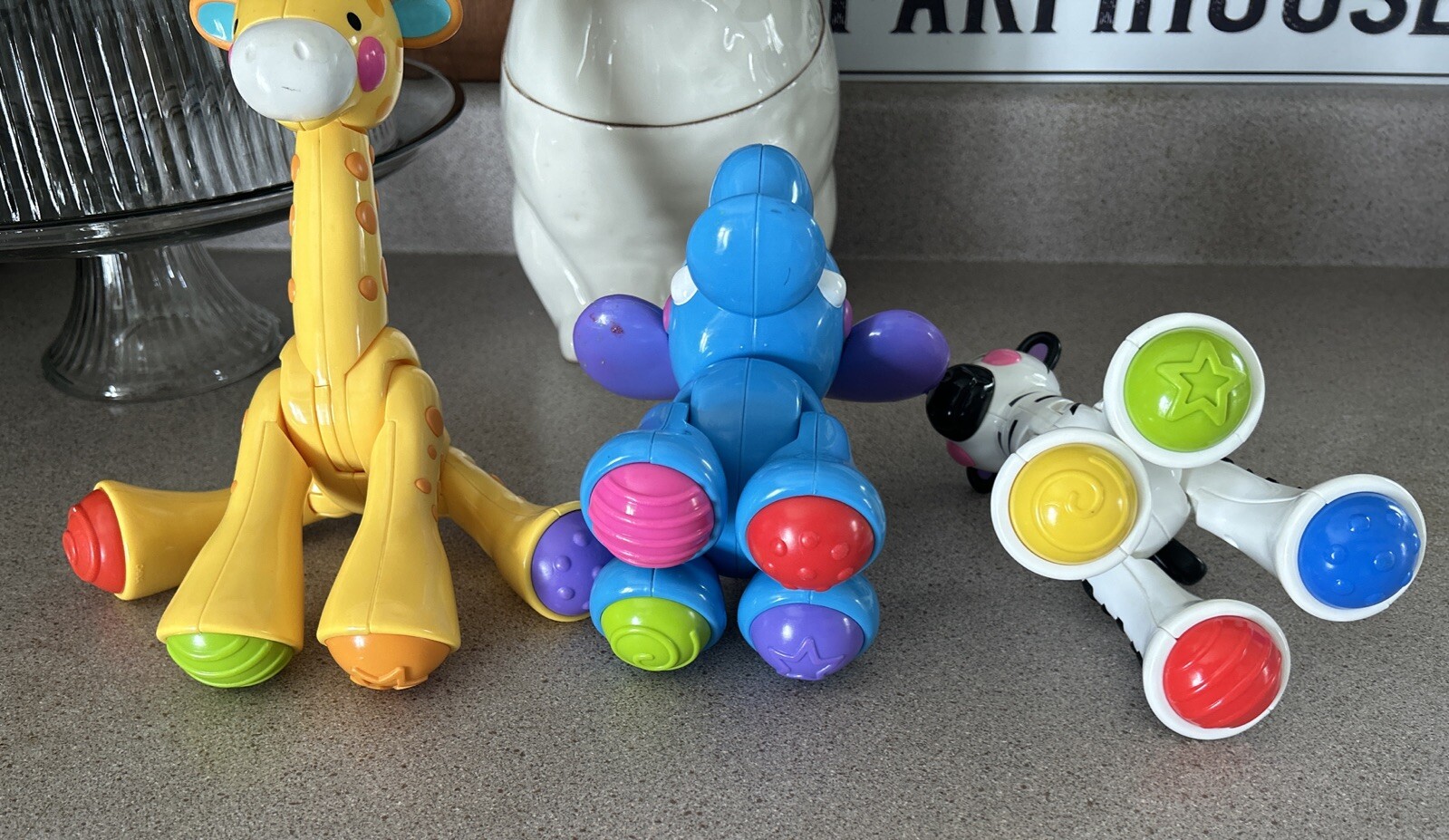 Picture 6 of 6