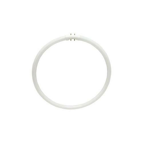 Sylvania 20732 FPC40/835 Circular T5 Fluorescent Tube Circline Light Bulb eBay