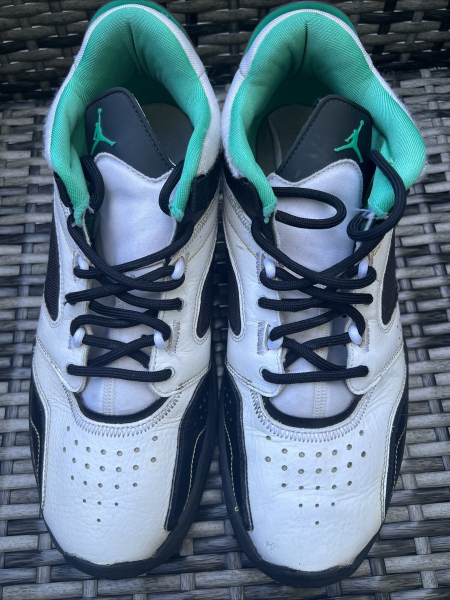 Nike Air Jordan Point Lane Urban Jungle CZ4166-103 Men's Shoes