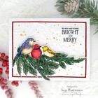NEW - Stamptember 2025 - Penny Black - Bright and Merry - Stamp and Die Set — photo 7