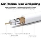 Bild 6 von 7