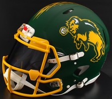 NORTH DAKOTA STATE BISON NCAA Riddell Speed Full Size AUTHENTIC Football Helmet