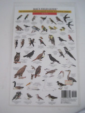 MAC'S Field Guide To Yellowstone & Grand Teton National Parks Laminated