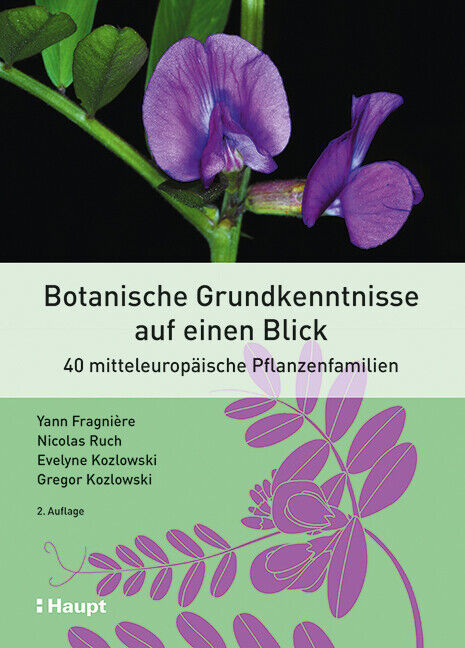 Thumbnail - Yann Fragnière; Nicolas Ruch; Evelyne Kozlowski; Gregor Kozlowski /