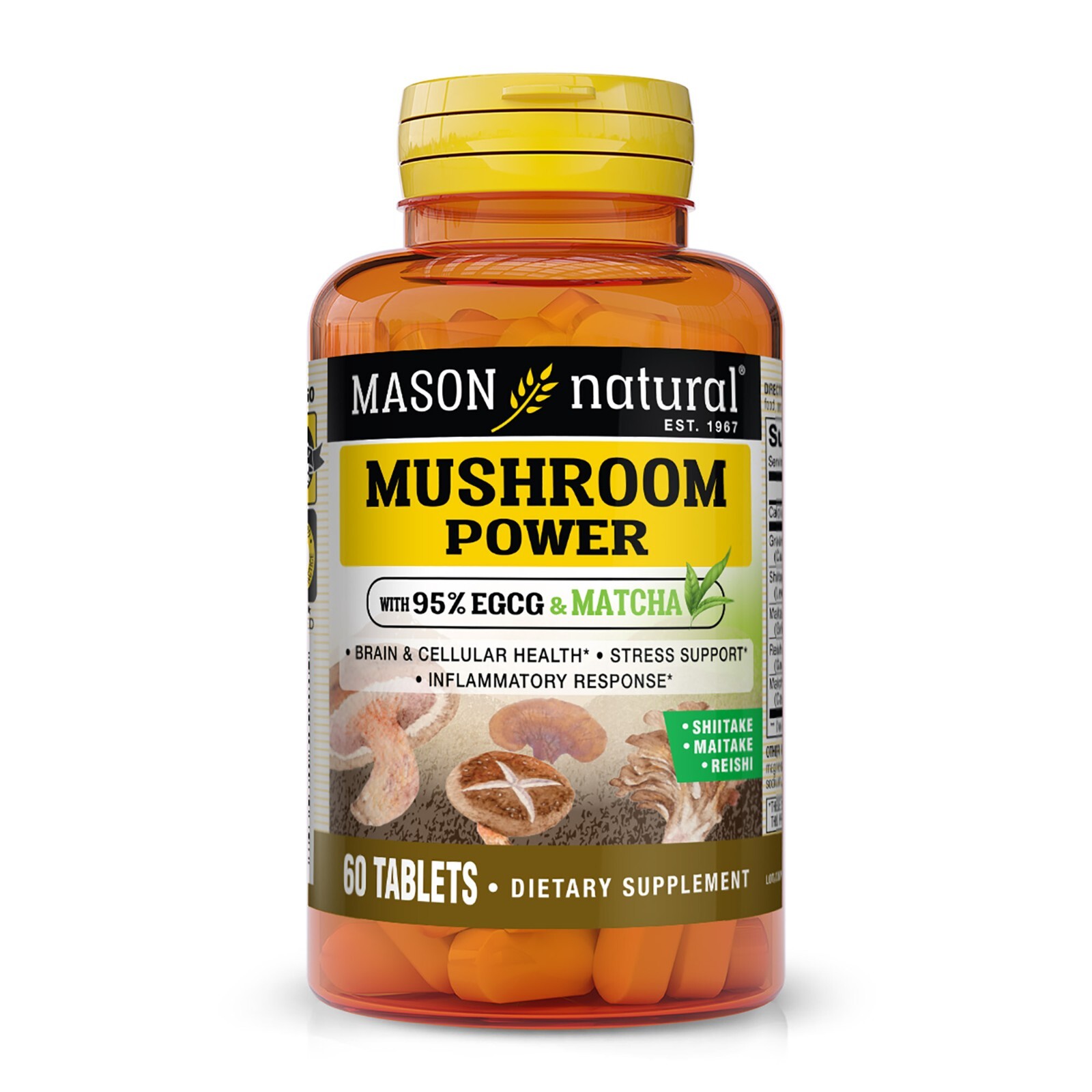 Mason Natural Mushroom Power with 95% EGCG & Matcha - For Optimal Wellness,
