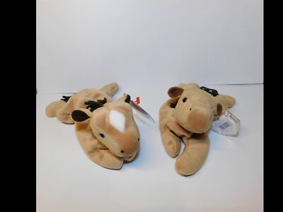 ty BEANIE Babies Collection Pferd DERBY 1995  / unbespielt Sammlerstücke 2x