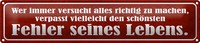 Blechschild Spruch 46X10Cm SchöNster Fehler Seines Lebens Dekoration