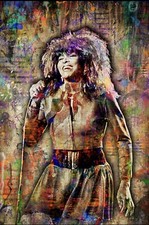 Tina Turner 13x19in Poster, Queen Of Rock n&rsquo; Roll Tina Turner Art Free Ship US