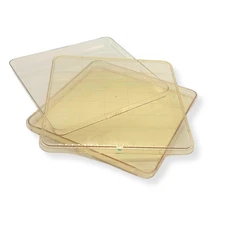 BD Falcon Nunc Square BioAssay Cell Culture Dish 241×20mm, Gridded, Lids, 5 Pack
