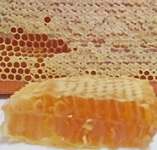 Miel de panal cruda 200 g (7 oz) - Miel pura de bosque de flores silvestres, cosecha 2026