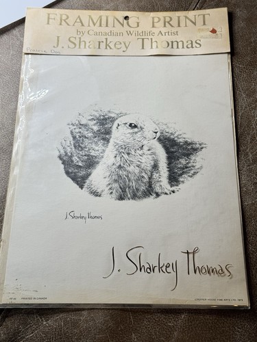 Stampa cane vintage 1973 J. Sharkey Thomas Prairie firmata decorazione arte da parete RARA - Foto 1 di 6
