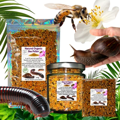 BUGZNBITS Bee Pollen Food Supplement for Snails, Isopods & Millipedes Vitamin Booster Food