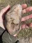 Dakota Prairie Agate. 1pound 6.80 Oz — photo 10