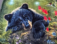 Northwest Plush Throw Blanket Bear Cub Bird Wish I Could Fly Artist Hunter 50x60