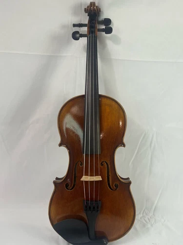 HandMade Violin Outfit 4/4 Antique Looking Gewa Shaped case GG 216