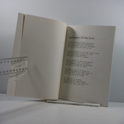 Window To My Soul by Anthony Brady Illustrated Paul Kearny 1994 Poetry Book PB - Bild 5 von 12