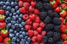 BERRY SEED SET, Strawberries, Blueberries, Blackberries, Raspberry, Gift Package