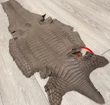 Brown Taupe Genuine Caiman Crocodile belly Hide Leather Skin alligator Croc 386