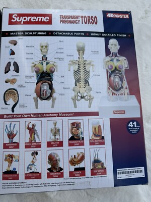 SUPREME Male & Female Anatomy Model Set Red | 2018 | 4D Human RARE