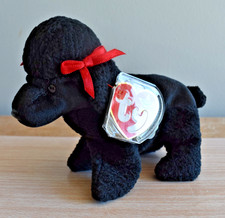 TY Beanie Baby - GIGI the Poodle Dog 6 inch 