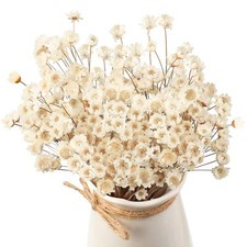 200 Pcs Natural Dry Flowers White Mini Dried Star Daisy Floral Decorative Cha...