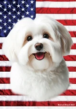 Havanese Cream All-American III Flag