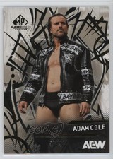 2025 SP Game Used AEW Gold 58/99 Adam Cole #69 09q5