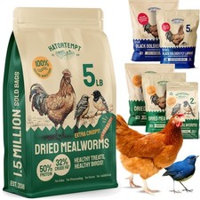 Dried Mealworms - Non-GMO  Organic - High-Protein Mealworms for Wild Bird Fo...