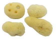 Hermit Crab Sea Sponges 4 Pack - Maintains Humidity, Safe Drinking, Adds Mine...
