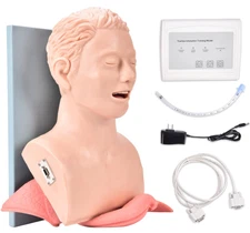 Adult Intubation Manikin Oral/Nasal Trainer Airway Management Simulator 110V