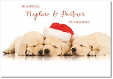 Doodlecards Nephew & Partner Christmas Card Christmas Golden Retriever Puppies