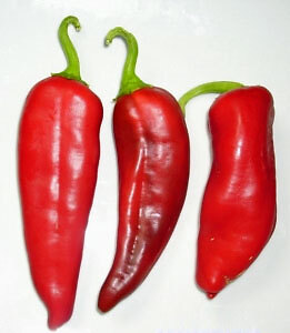 NuMex Big Jim Chili Samen - Bild 1 von 1