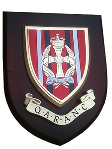plaque shield qaranc
