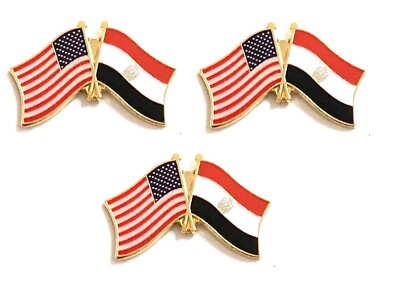 Pack of 3 International Flag & US Crossed Double Flag Lapel Pins