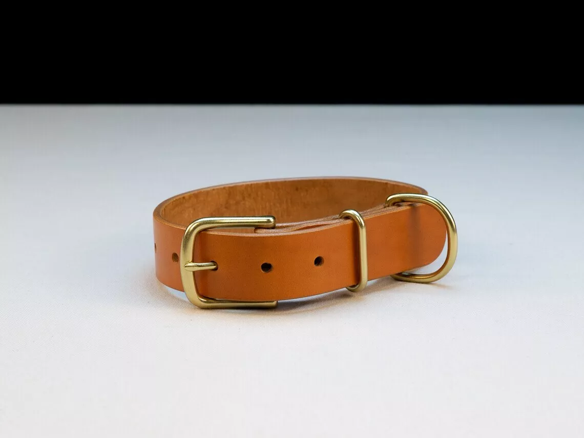 English leather dog collars sale