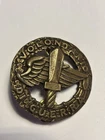 Brooch, PIN - WAR VOLUNTEER. RSI 1944/45-in Metal